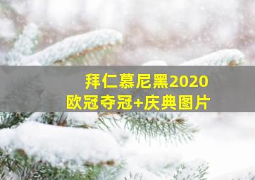 拜仁慕尼黑2020欧冠夺冠 庆典图片